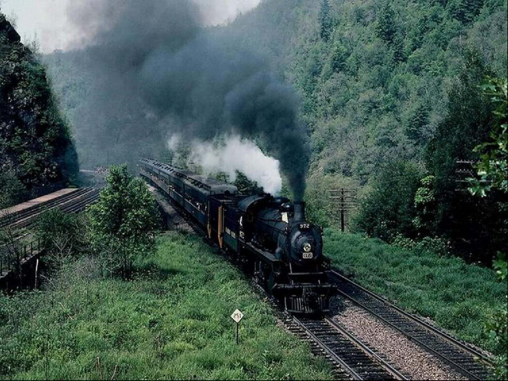 Паровоз в лесу