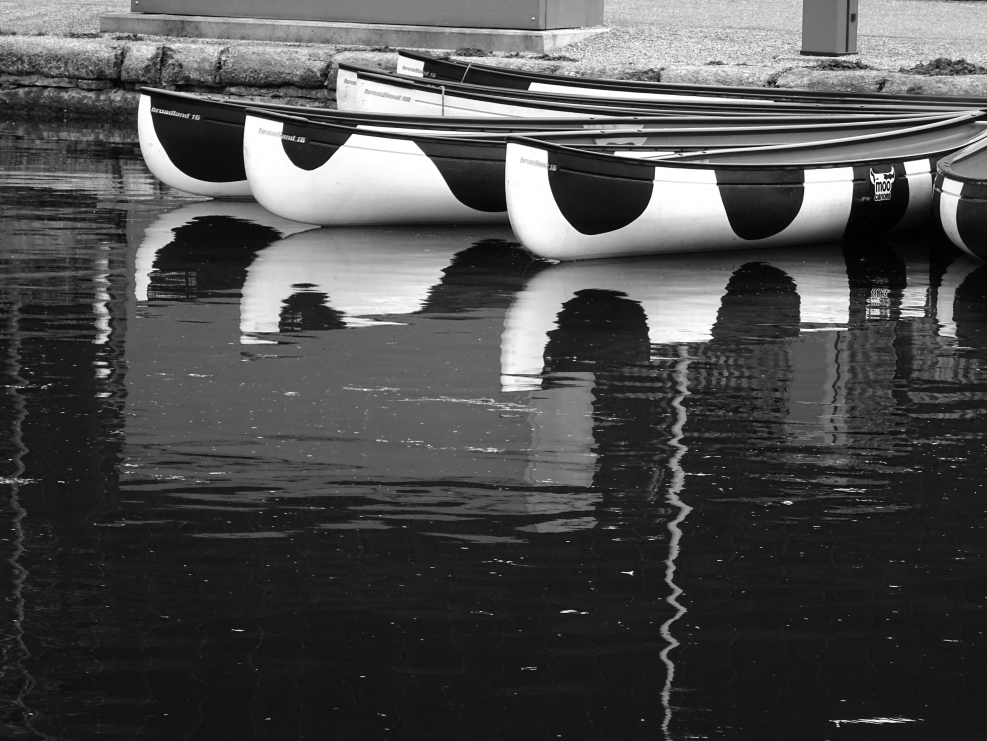 Black Boat лодки
