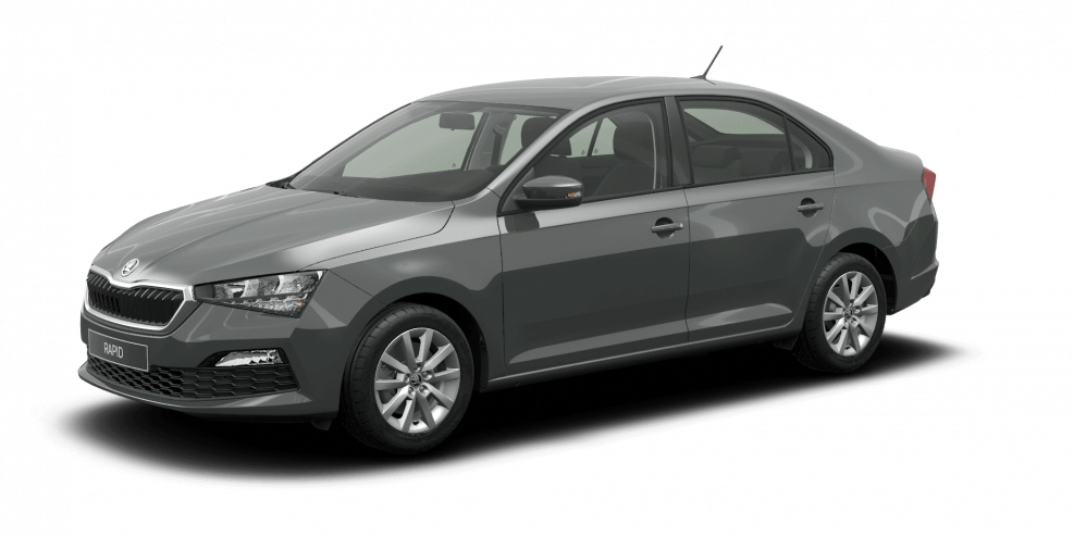 Шкода Рапид 2014 серая