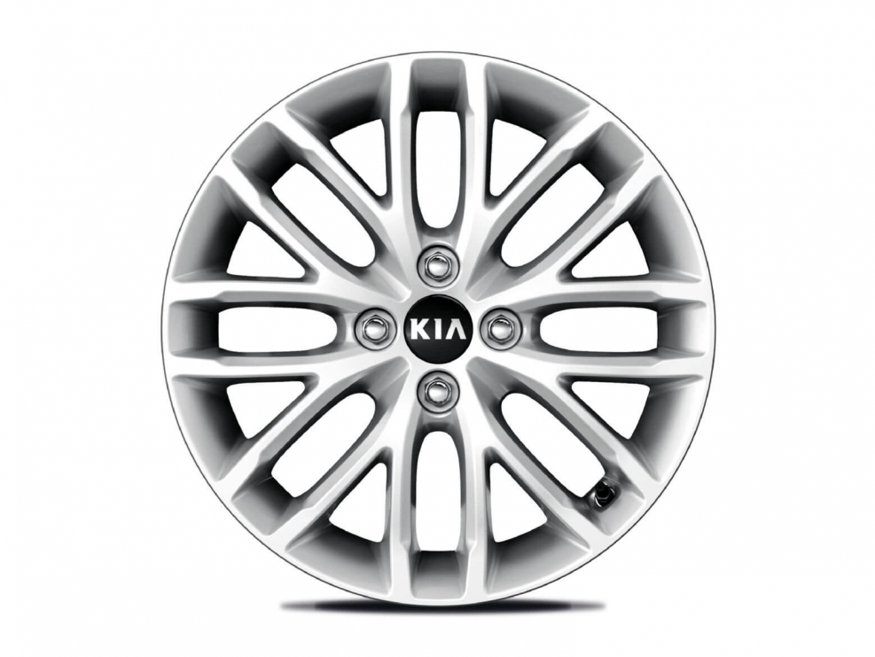 16” Легкосплавные диски Kia Rio