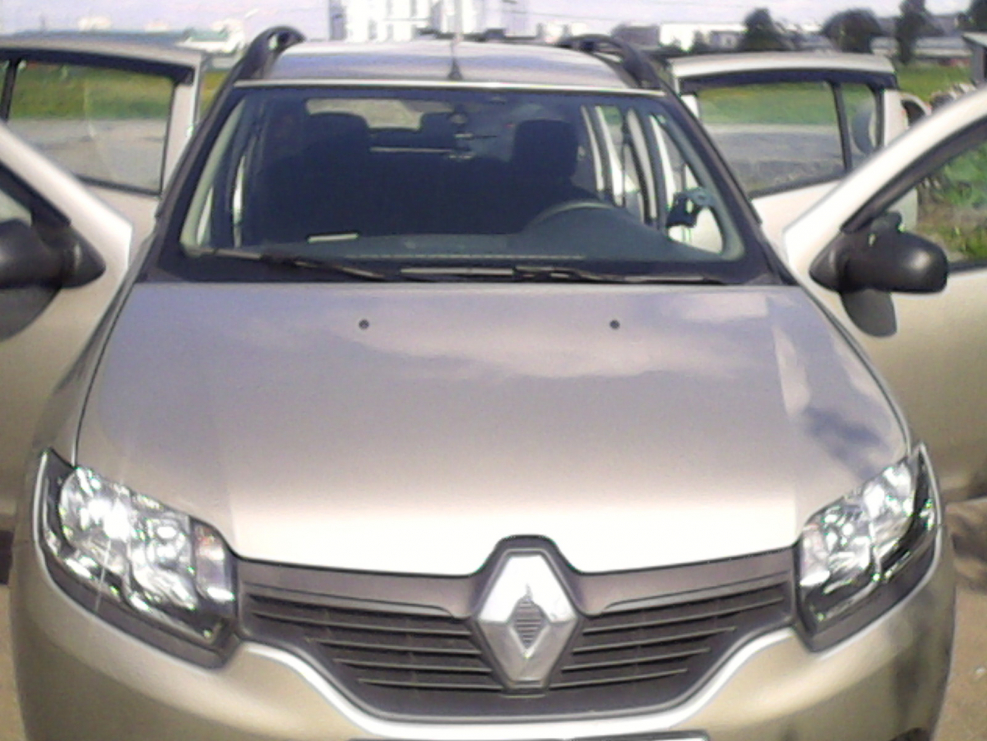 Renault Sandero 2015 рейлинги
