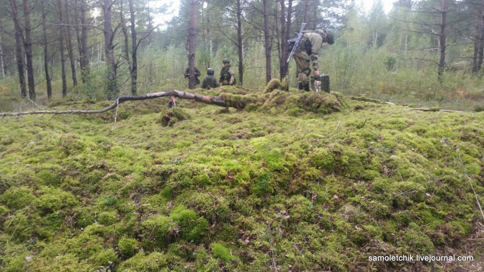 Замаскированный танк в лесу