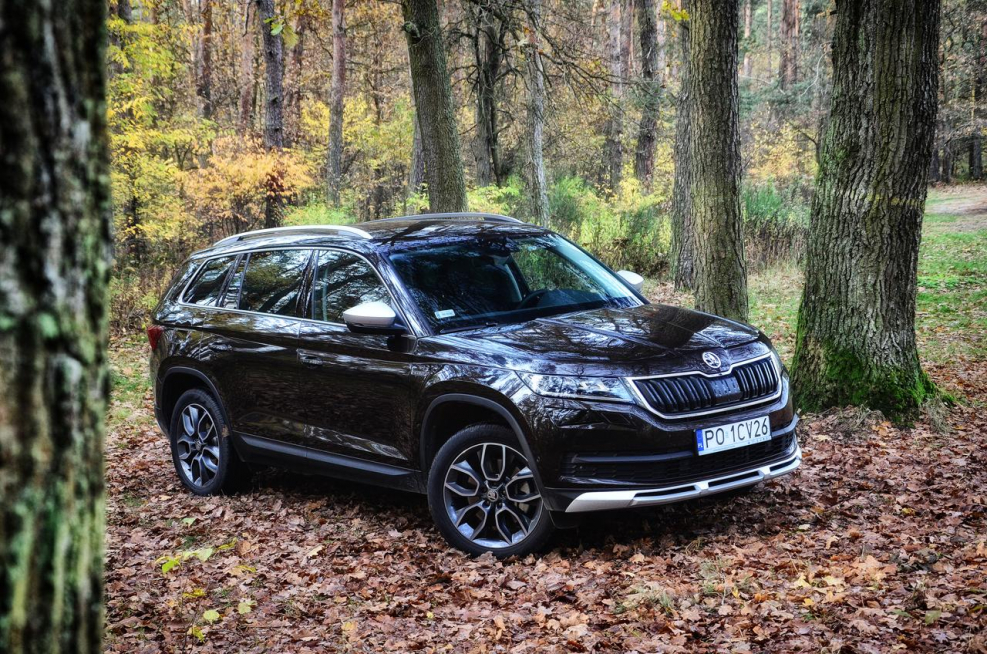 Skoda Kodiaq Grey