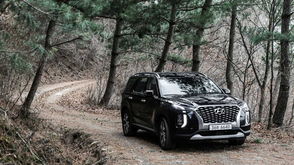 Санта Фе Палисад 2020