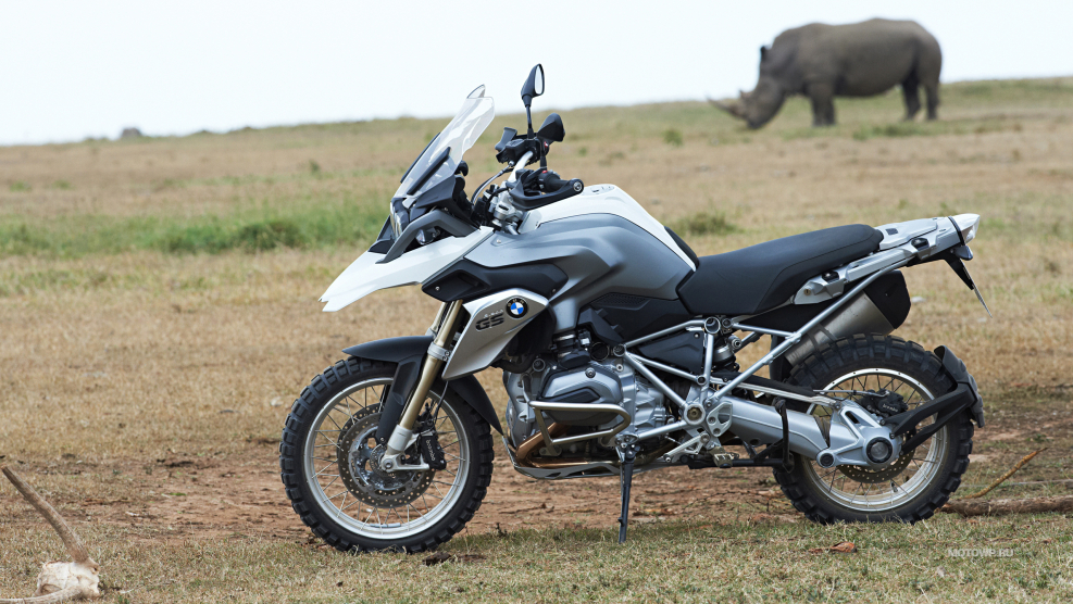 Гусь BMW 1200 GS
