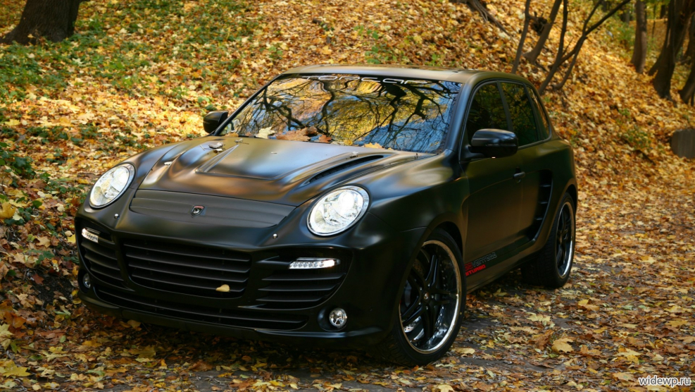 Cayenne 955 TOPCAR