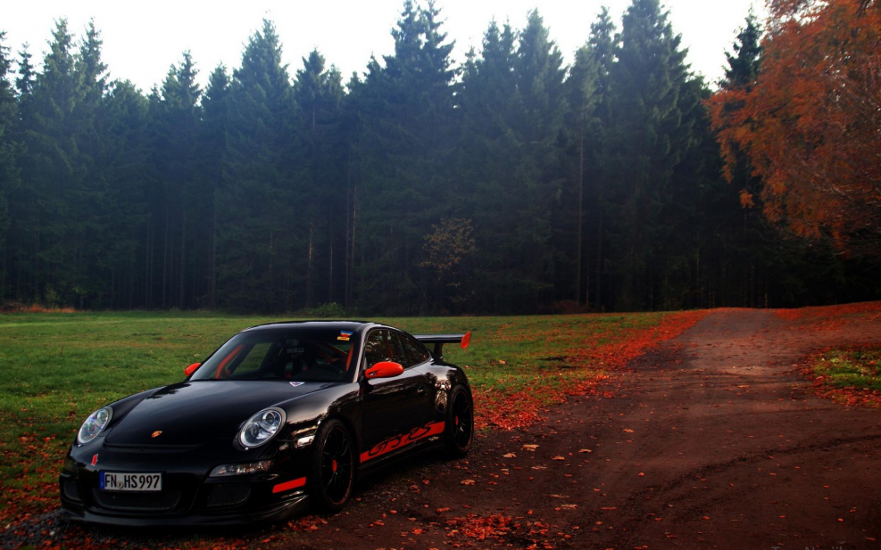 Porsche 911 Turbo s в лесу