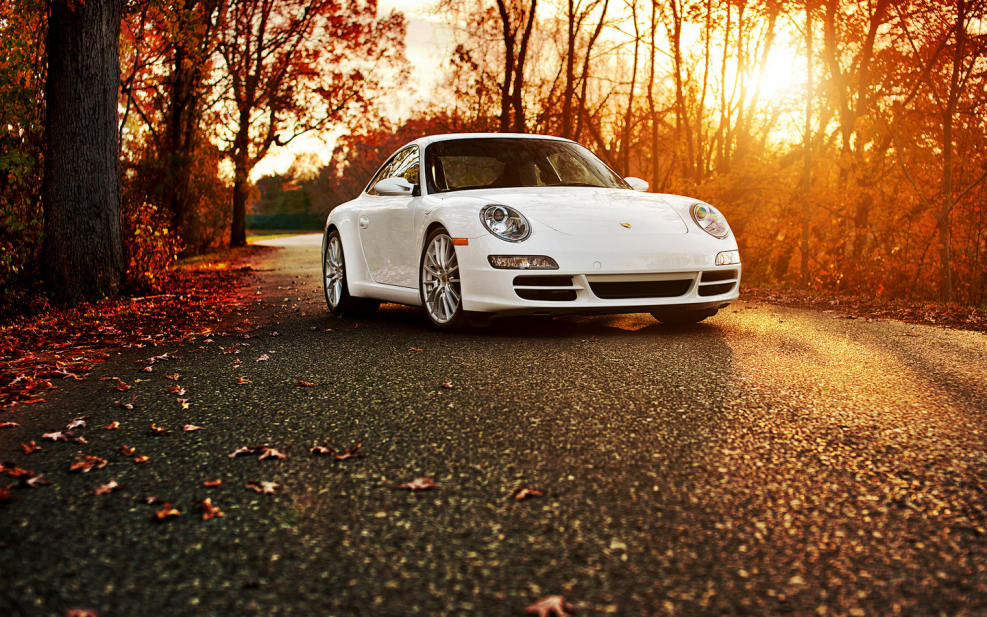 Porsche 911 autumn