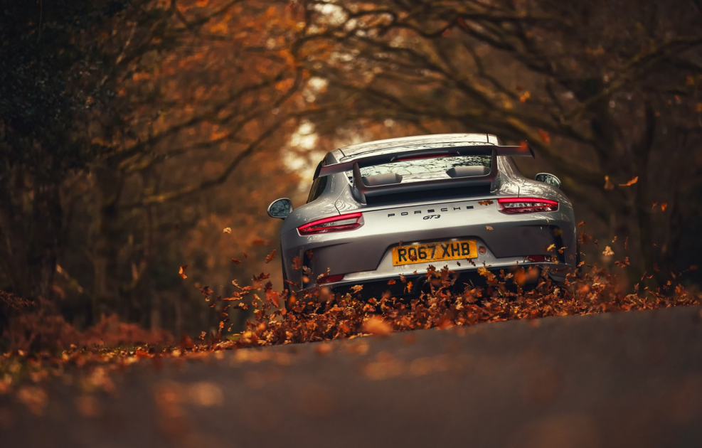 Porsche 911 осень
