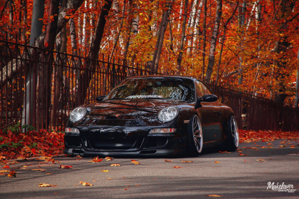 Porsche 911 autumn