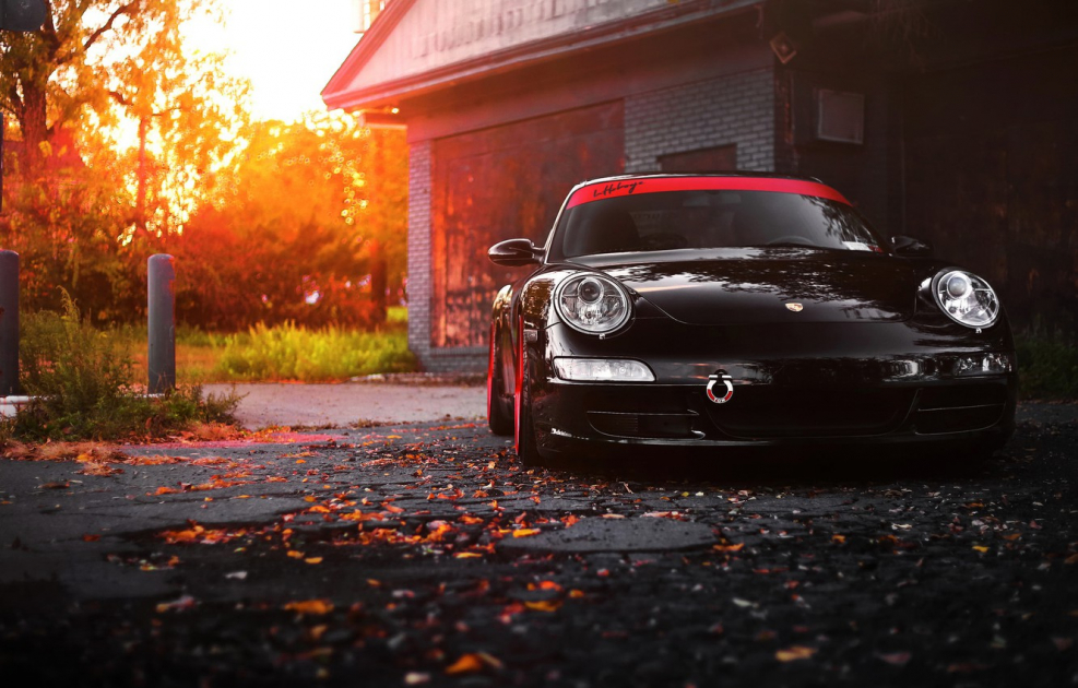 Порше 911 в лесу