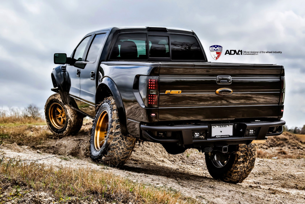 Ford f150 Raptor Tuning