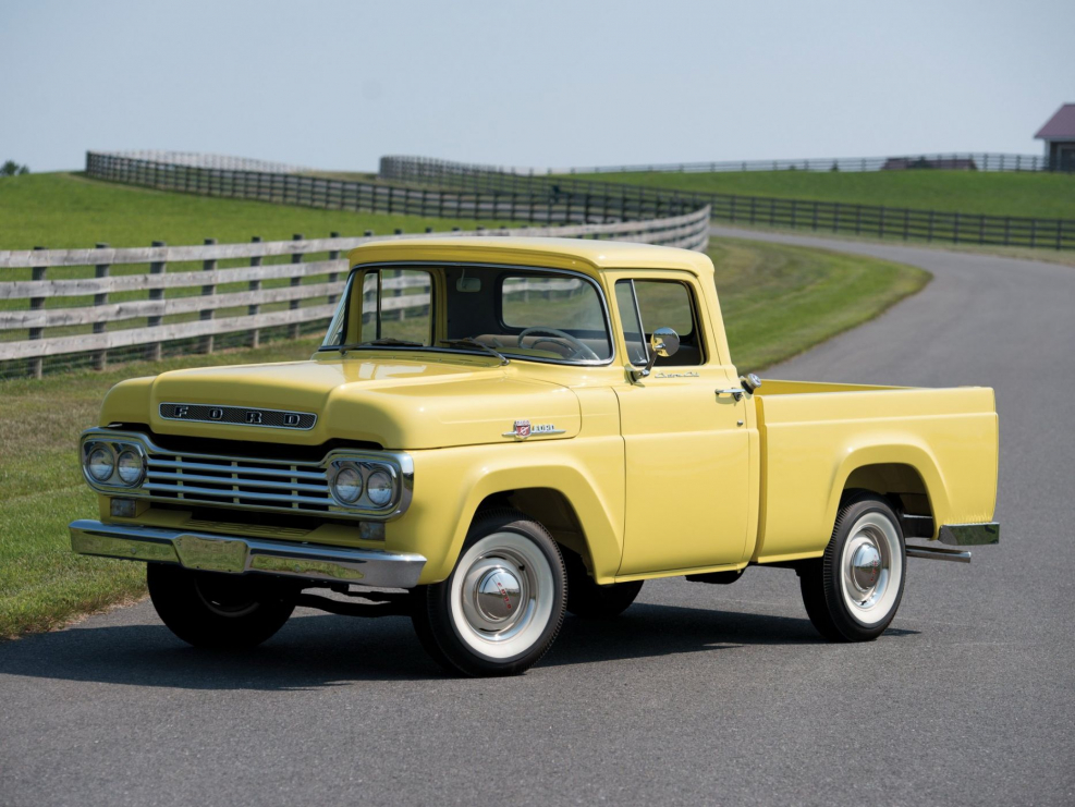 Ford f100