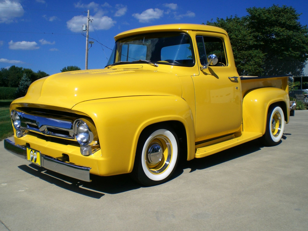 Ford f100