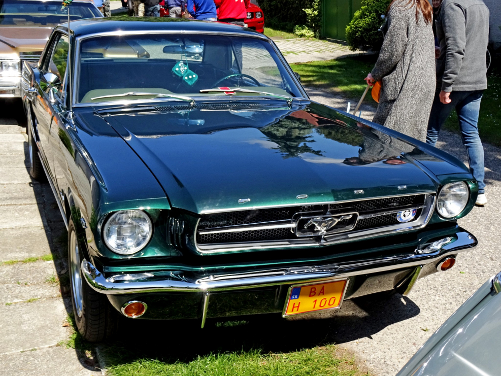 Ford Mustang 19