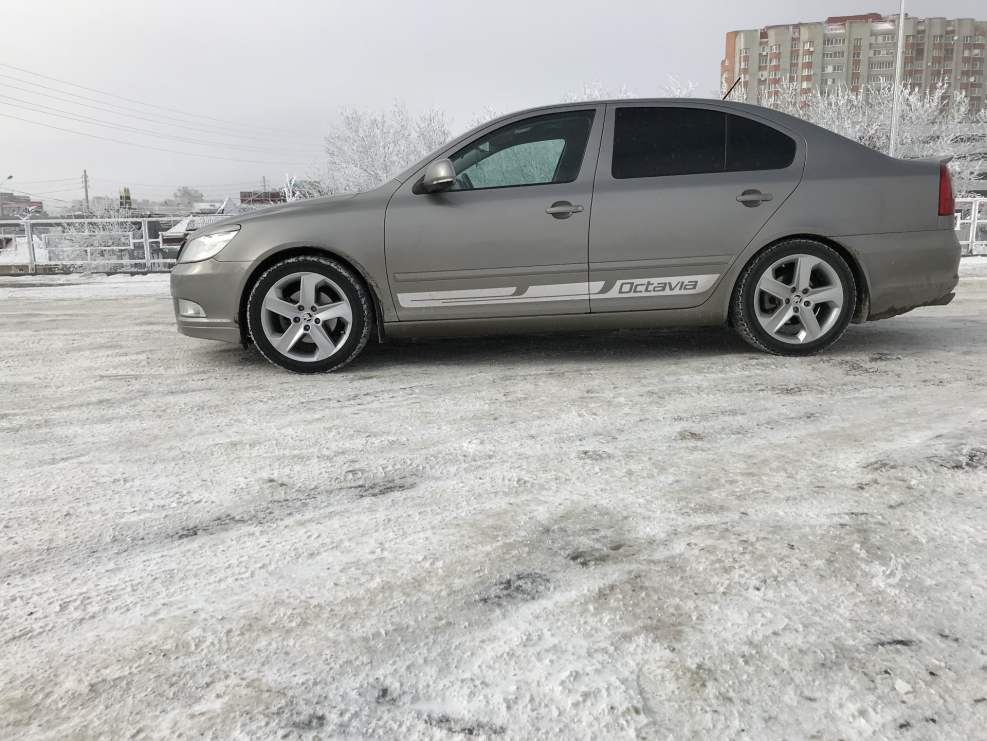 Октавия а5 бежевая r17