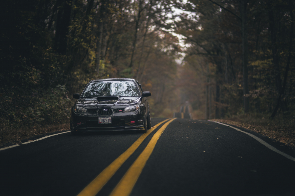 Subaru WRX В лесу
