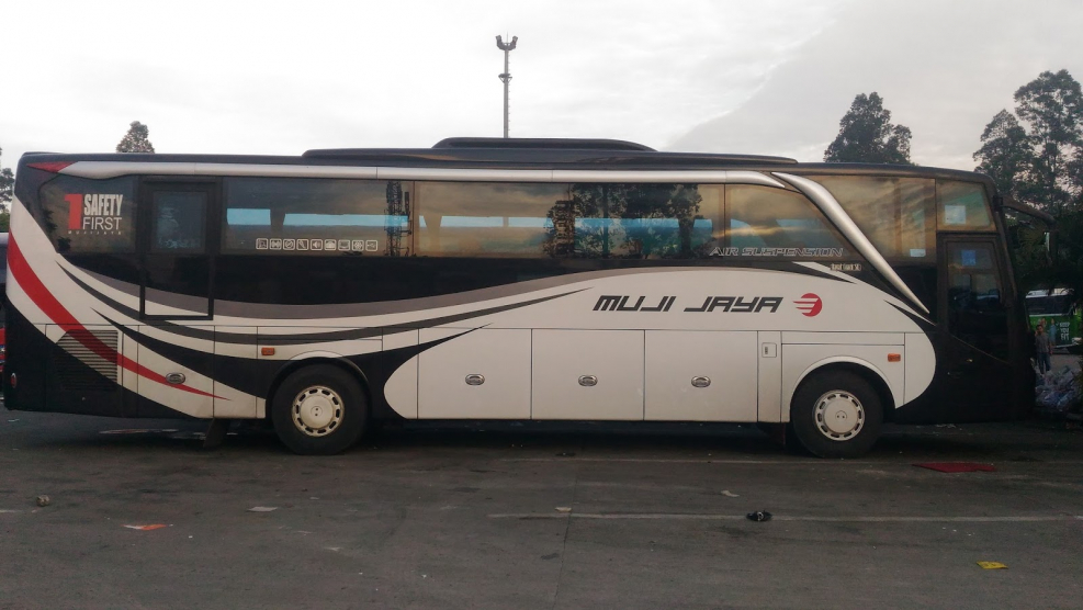 Сетра s516 автобус с пробегом