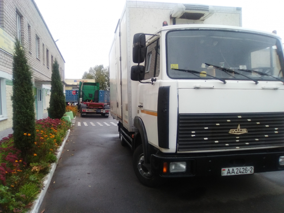 Решетка радиатора МАЗ 4370 Зубренок
