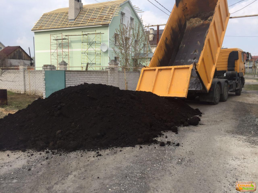 65115 КАМАЗ выгружает песок
