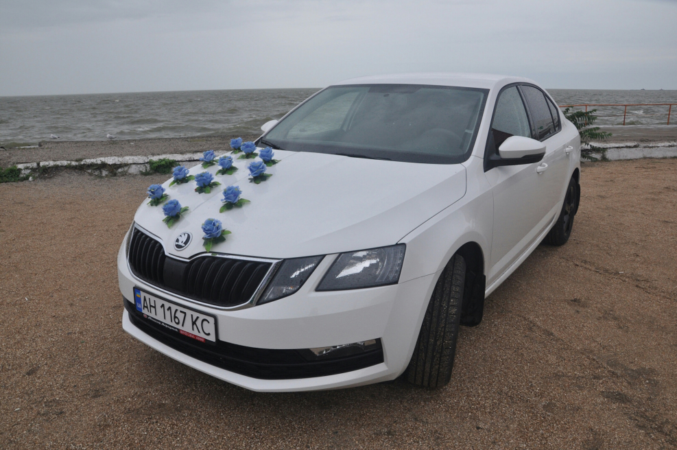 Skoda Octavia a7 белая