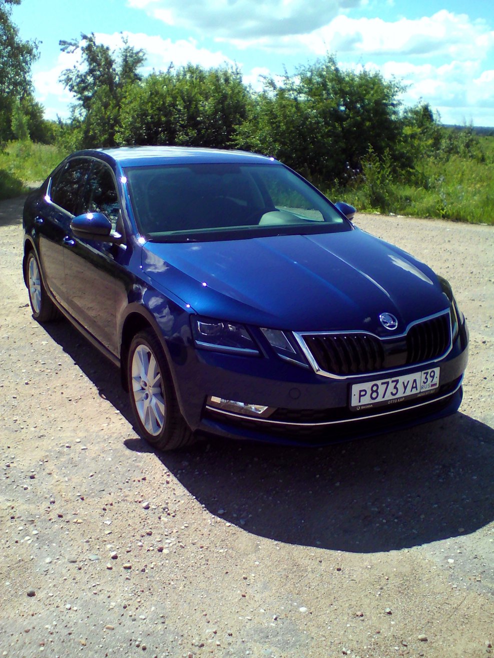 Skoda Octavia 2013 синяя