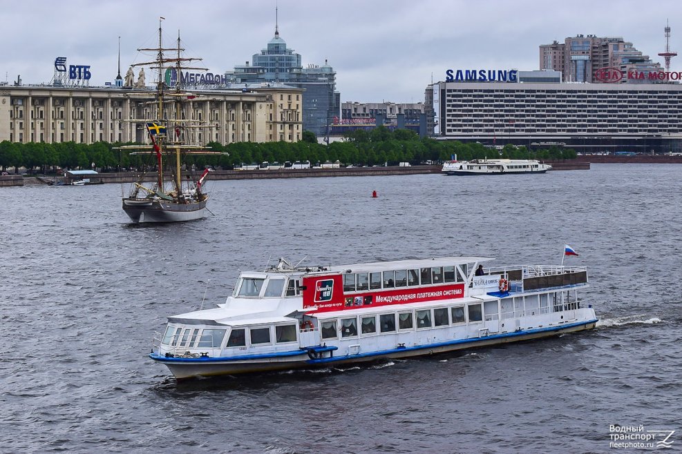Чайки над кораблем