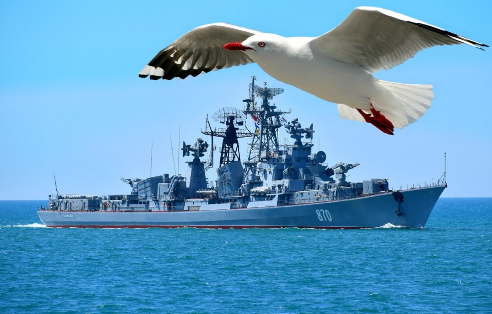 Военный корабль и Чайка