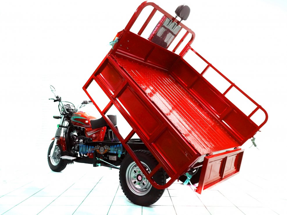 Трицикл zip Motors Triton 200