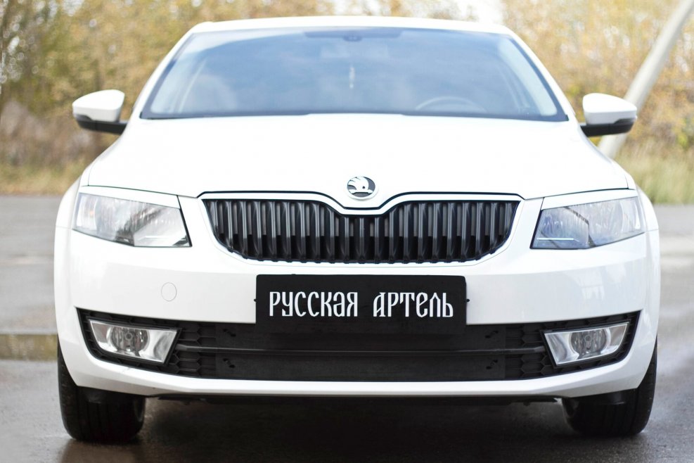 Зимняя заглушка решетки переднего бампера Skoda Octavia a7 2014-2017