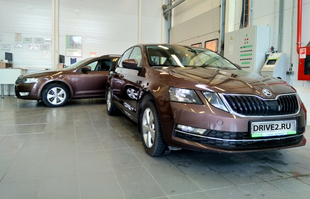Skoda Octavia a7 Brown