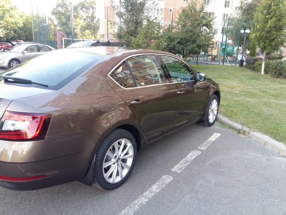 Шкода Ейти 2017 коричневый