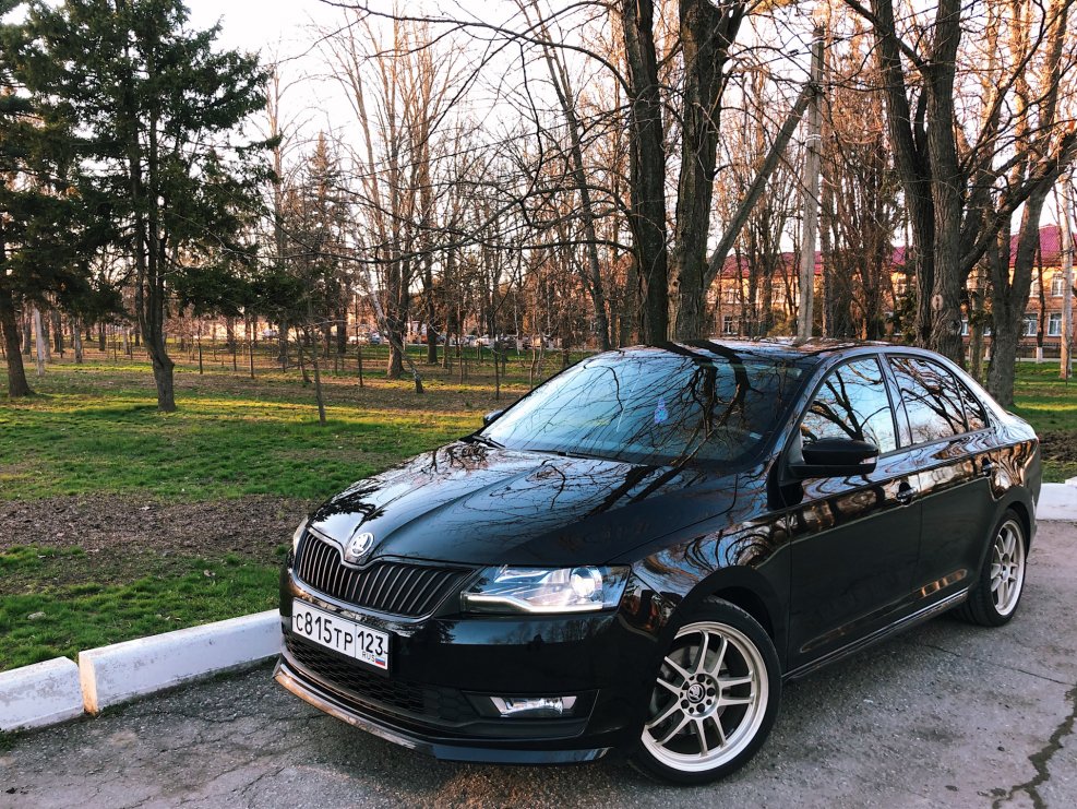 Rapid (17-) Skoda