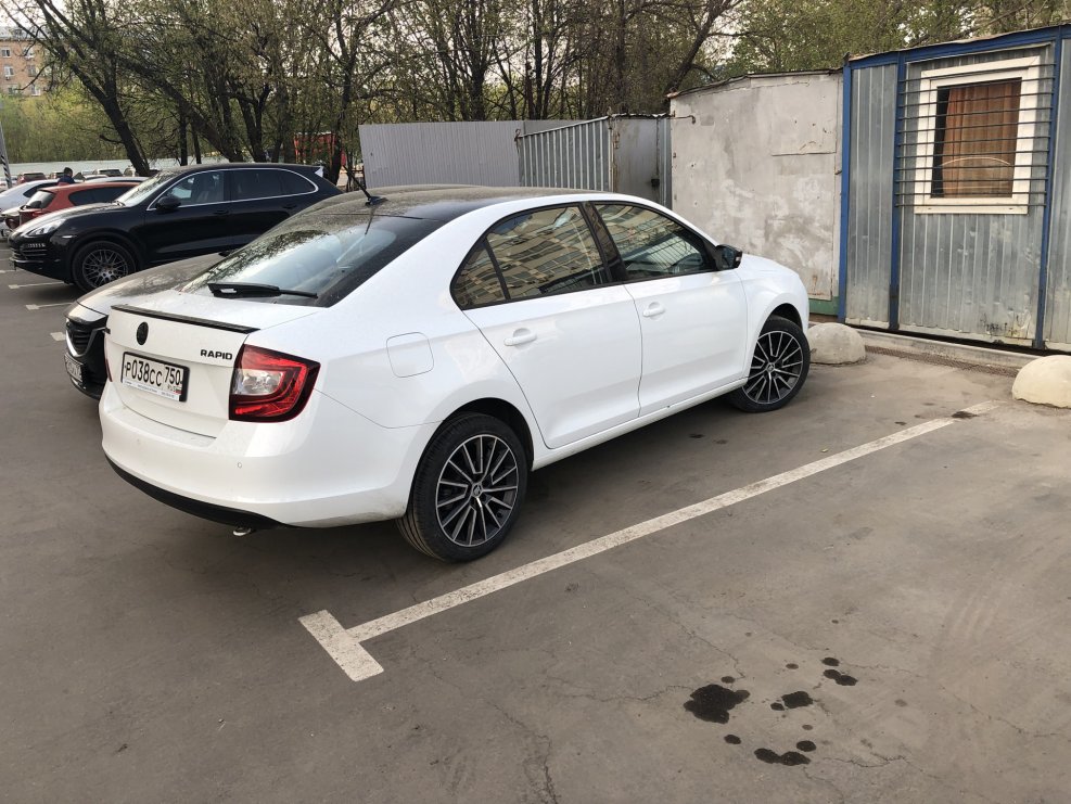 Rapid (17-) Skoda