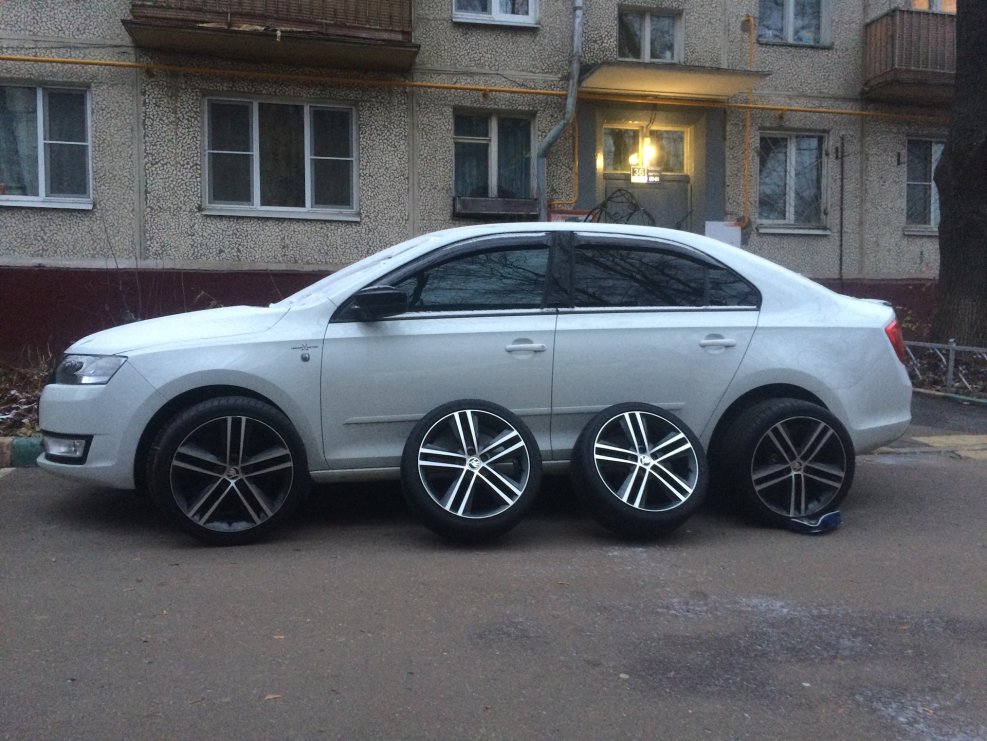 Skoda ray r17