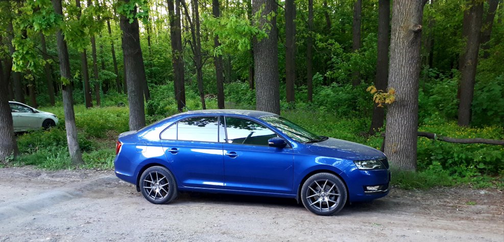 Диски Skoda Rapid r17