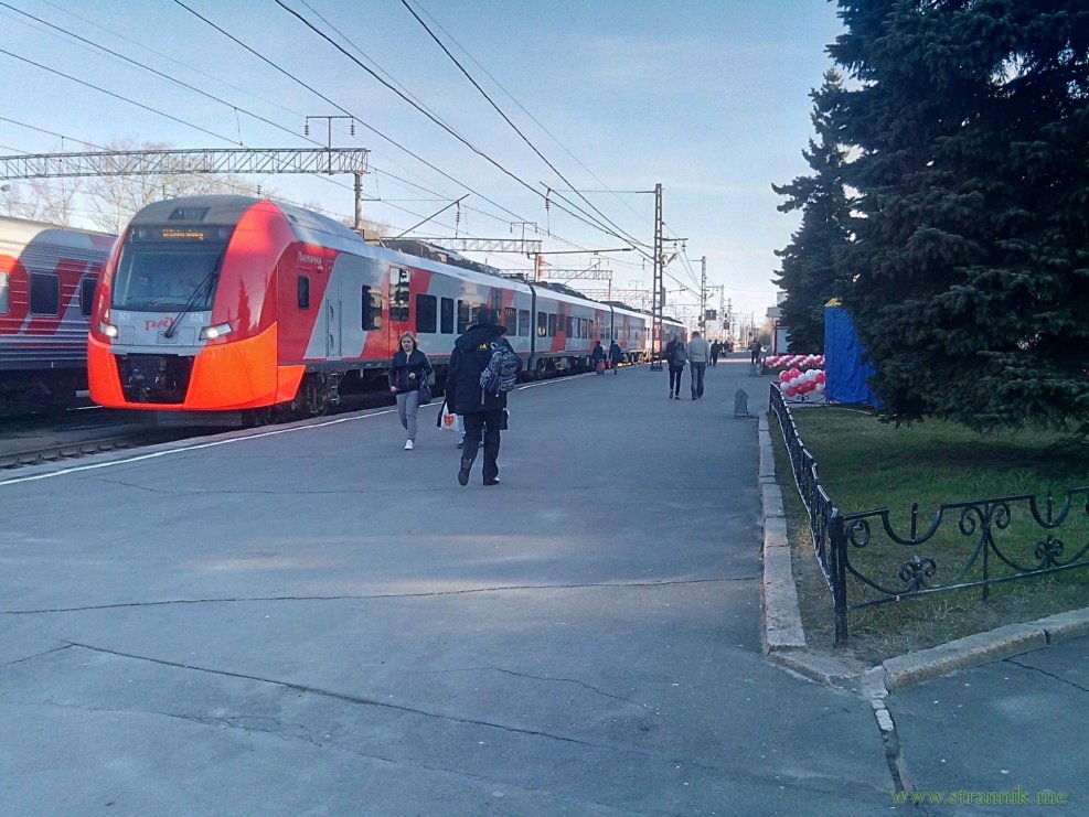 Ласточка поезд внутри