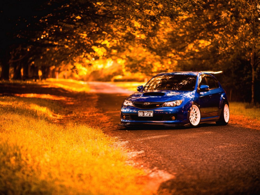 Subaru Impreza WRX STI осень