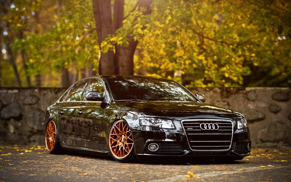 Audi a4 b8 stance