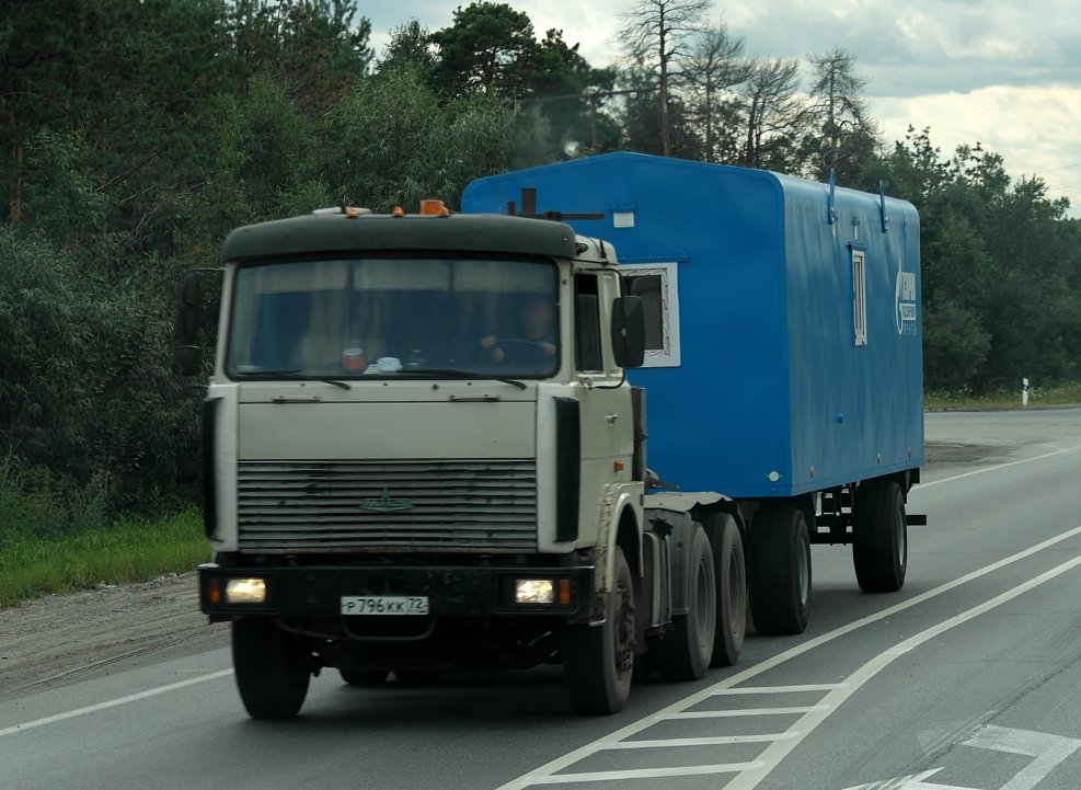 МАЗ 6422 1/43 от Аист купить