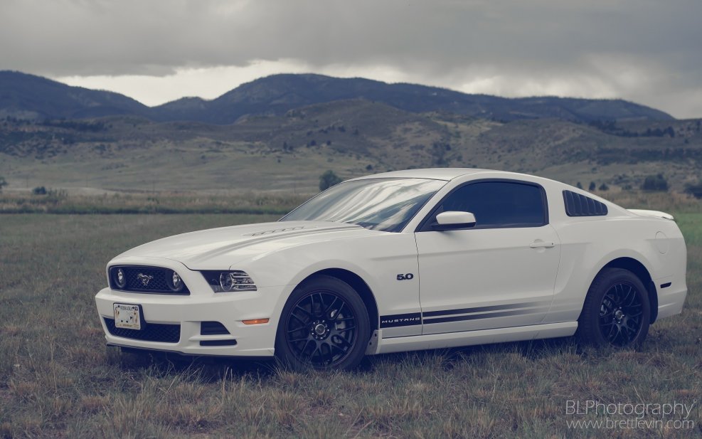 Ford Mustang gt 2013 белый