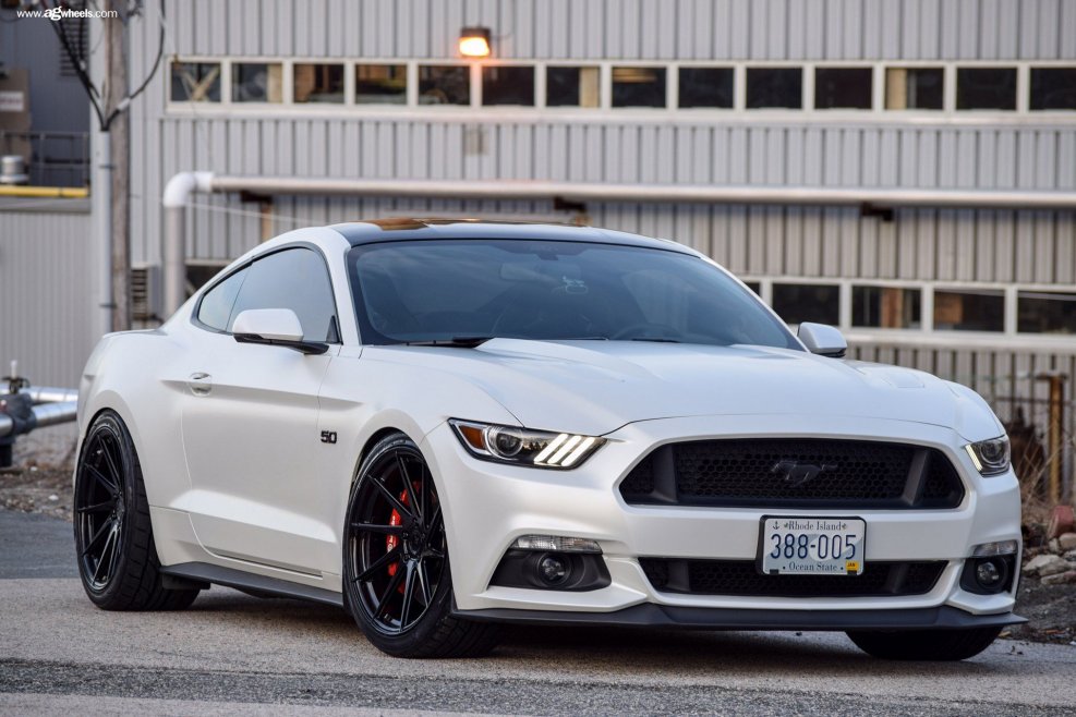 Ford Mustang Shelby gt500 2011