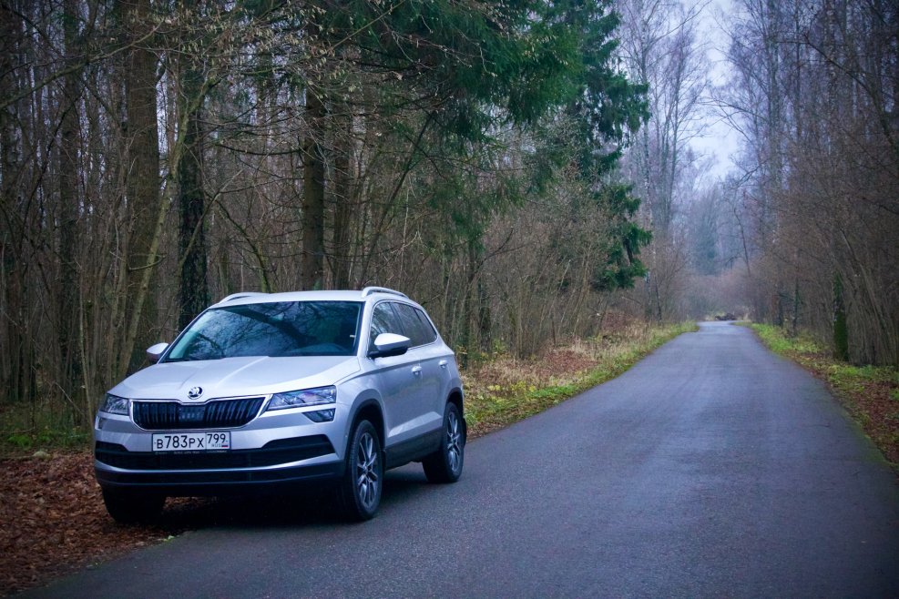 Skoda Karoq i 2021