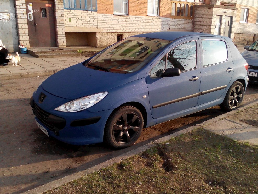 Peugeot 307 Blue Silver