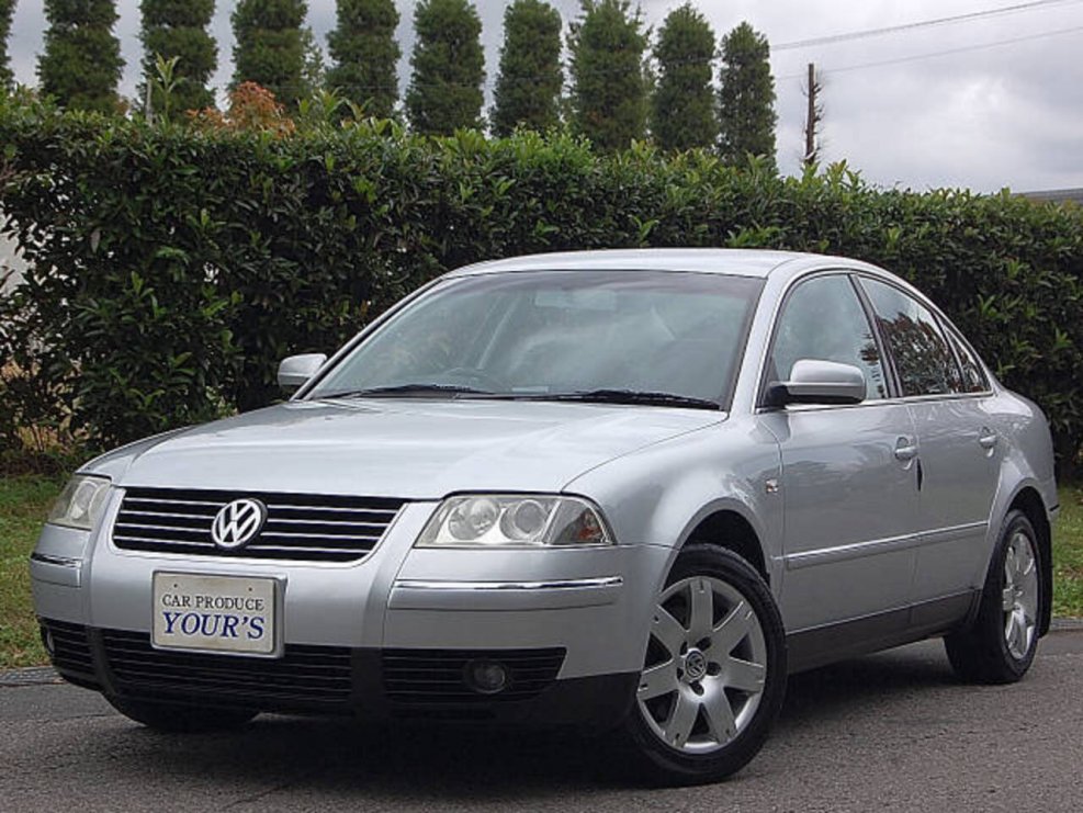 Volkswagen Passat b5 плюс