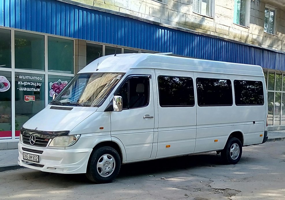 Mercedes-Benz Sprinter 313