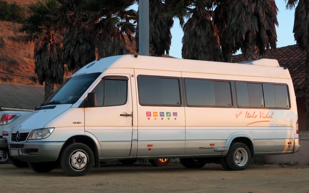 Mercedes-Benz Sprinter 313