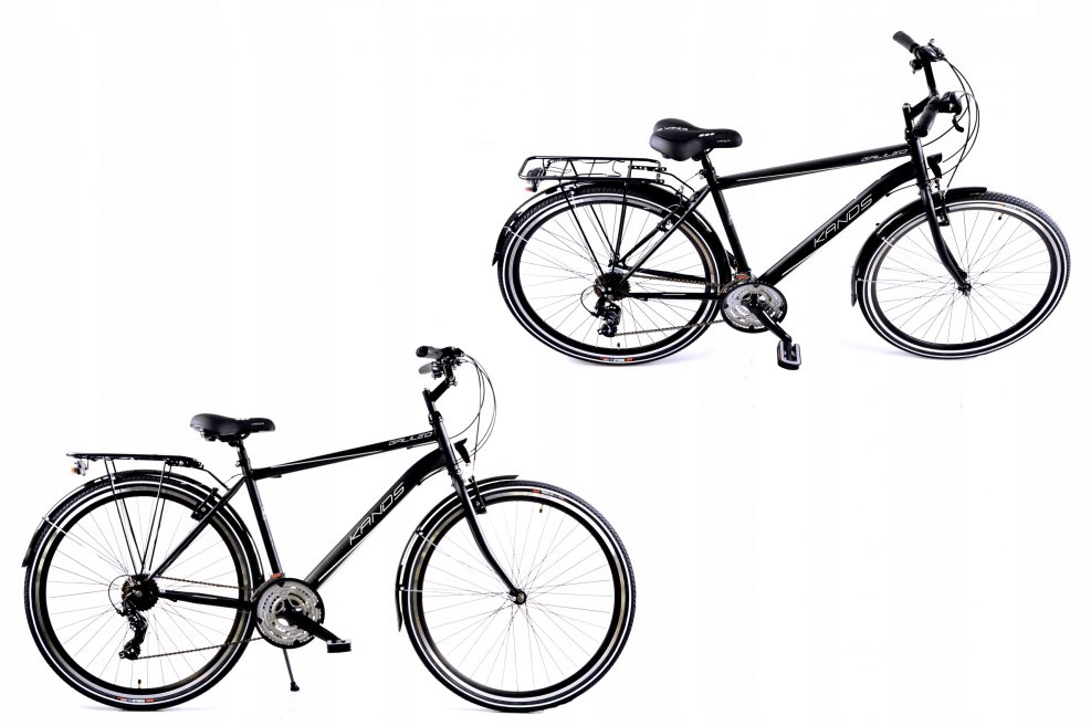 Велосипед женский Gazelle Batavus Electra дамка