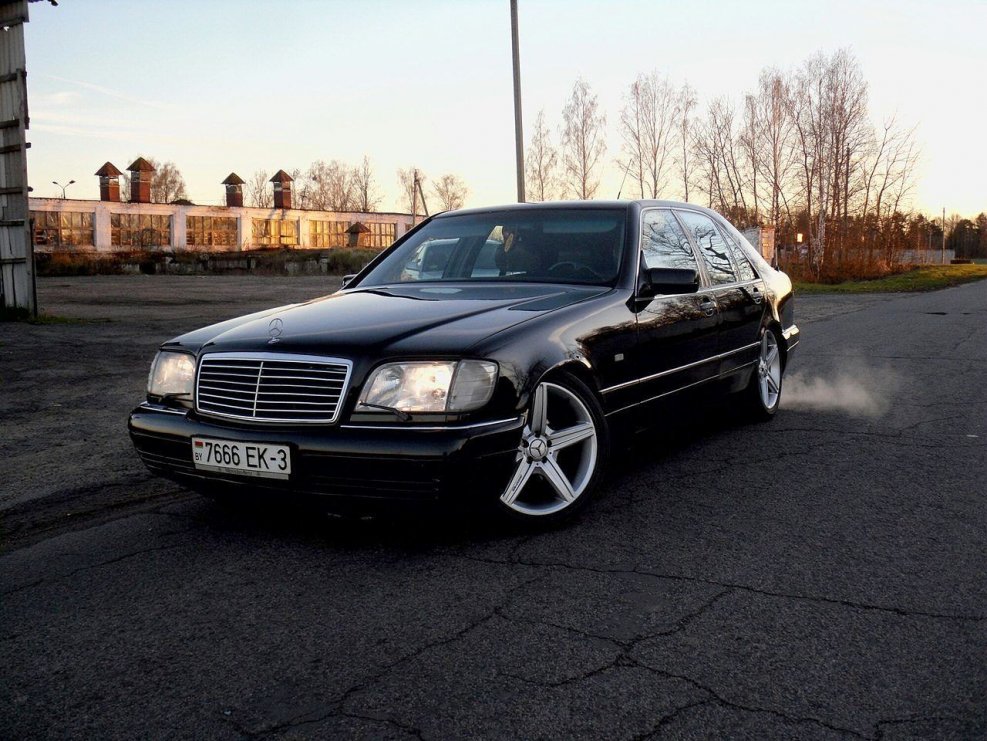 Mercedes Benz s class кабан