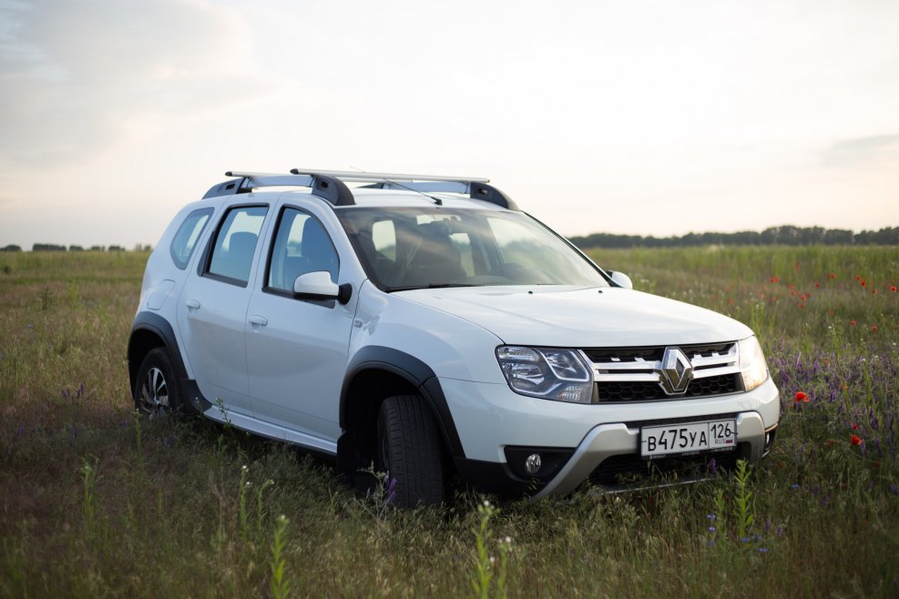 Duster 1